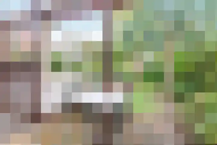 Geulwijk 13 Leusden thumbnail 33