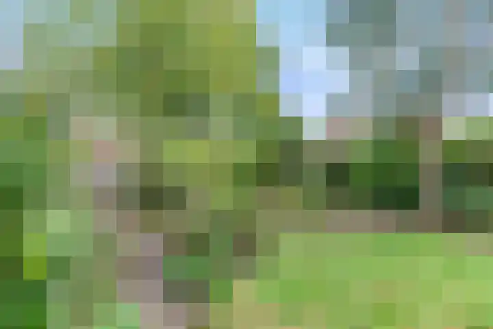 Geulwijk 13 Leusden thumbnail 34