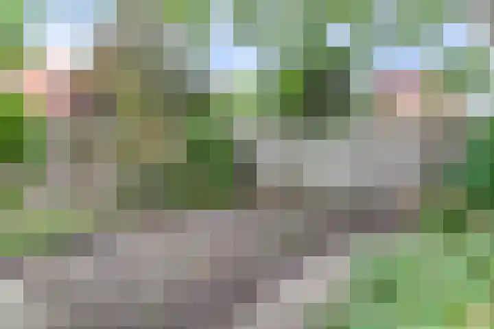 Geulwijk 13 Leusden thumbnail 37