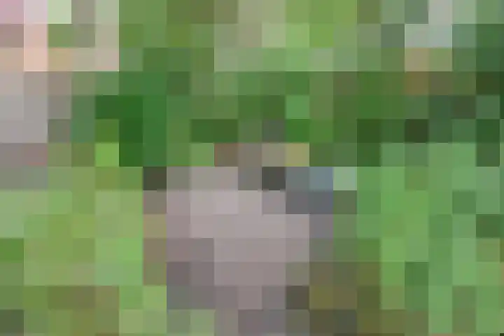 Geulwijk 13 Leusden thumbnail 39