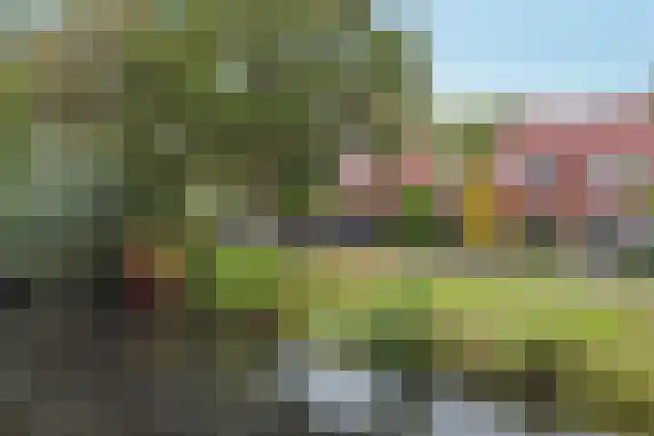 Geulwijk 13 Leusden thumbnail 46