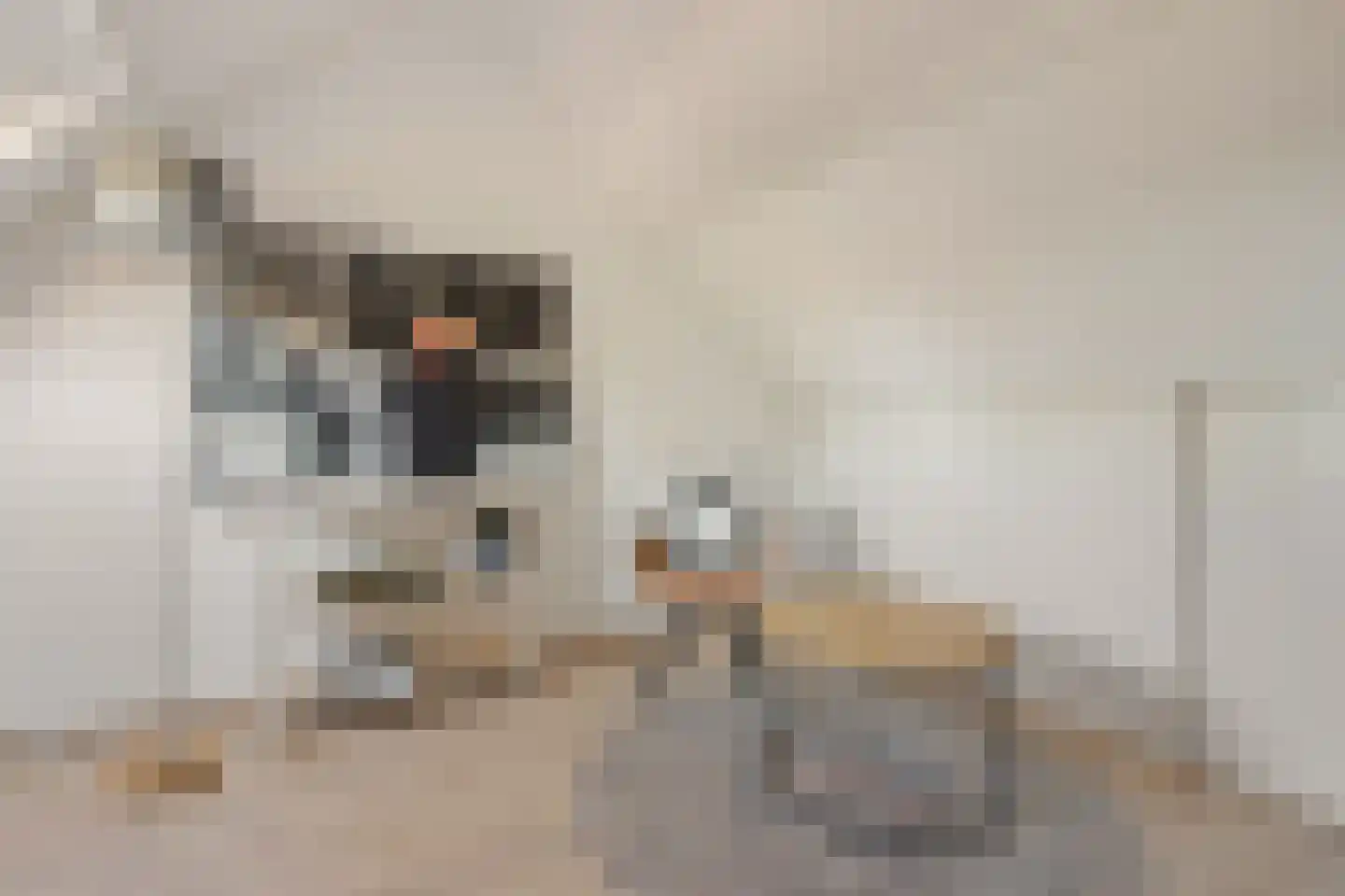 Geulwijk 17 Leusden thumbnail 25