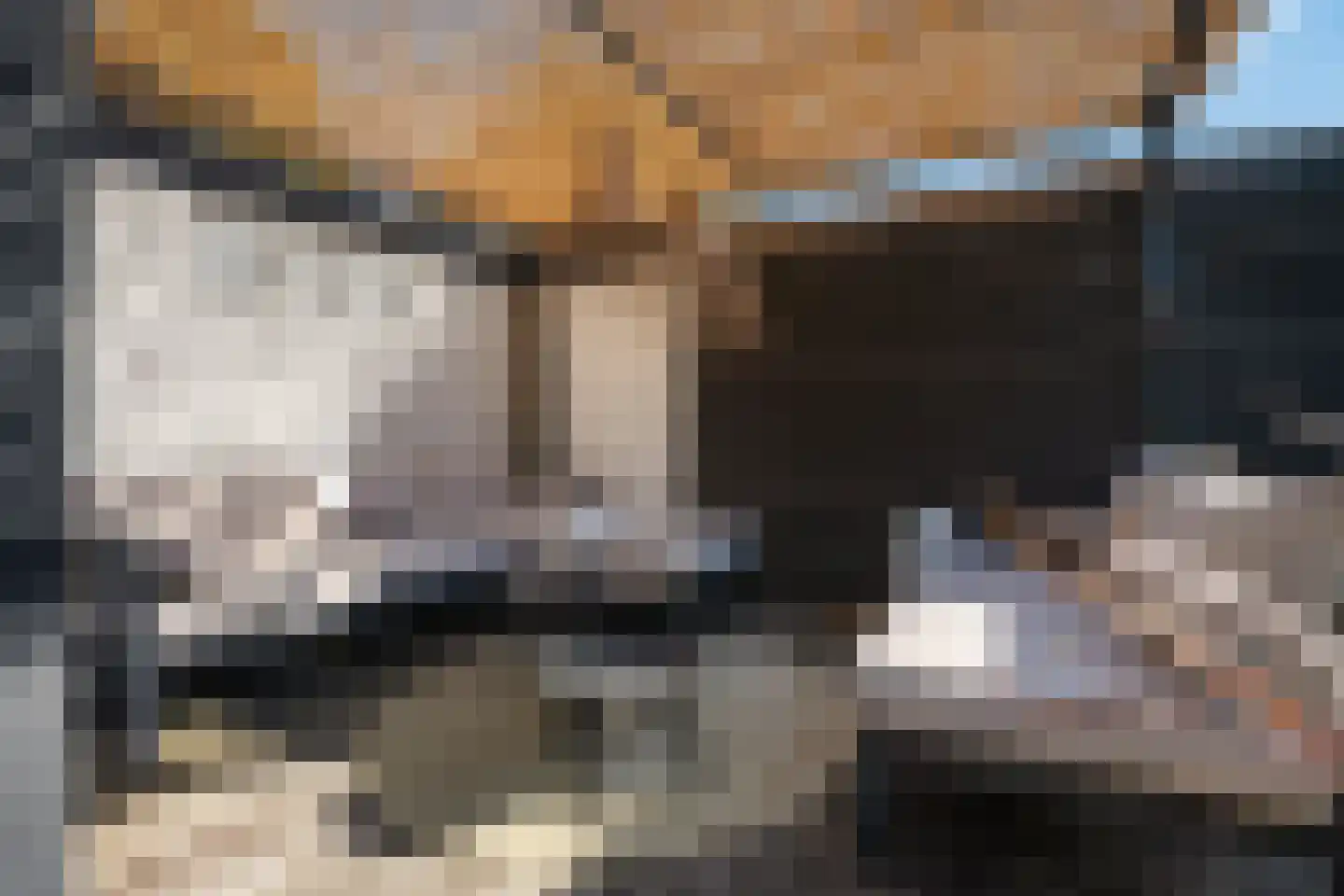 Geulwijk 17 Leusden thumbnail 28