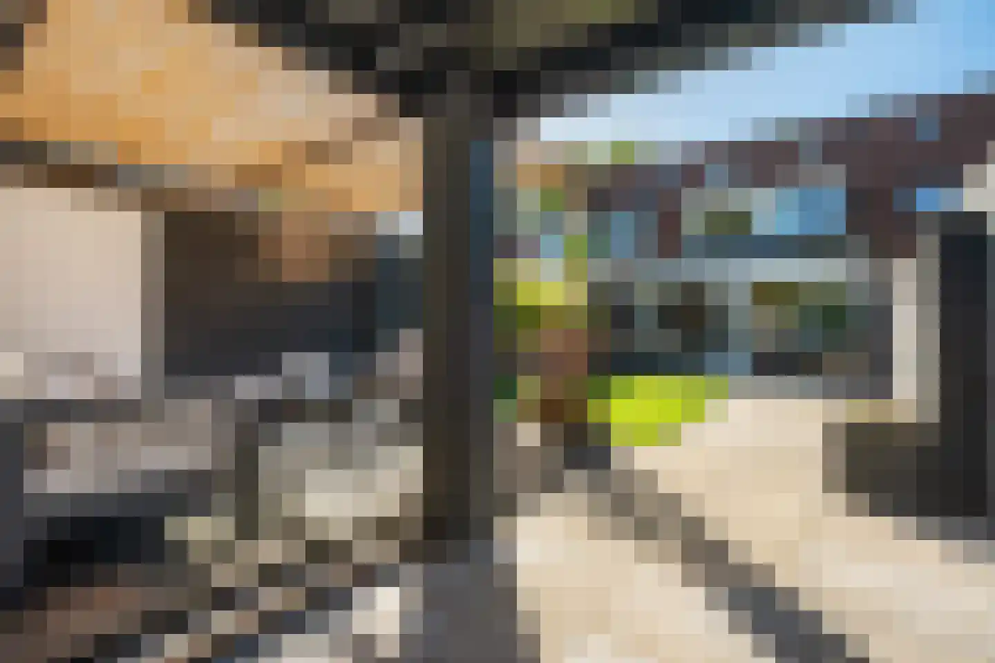 Geulwijk 17 Leusden thumbnail 29