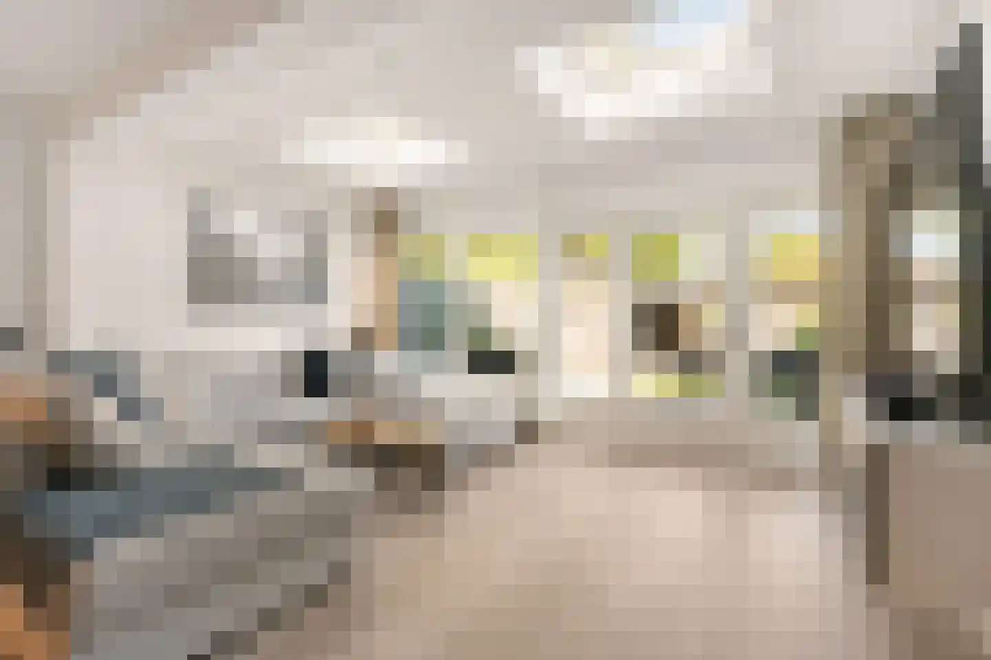Geulwijk 17 Leusden thumbnail 8