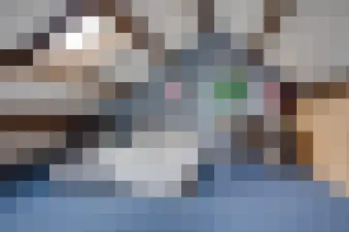 Geulwijk 6 Leusden thumbnail 32