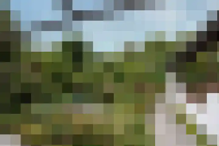 Geulwijk 6 Leusden thumbnail 41