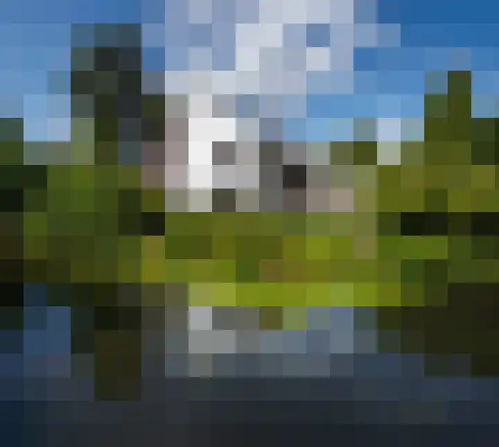 Geulwijk 6 Leusden thumbnail 45