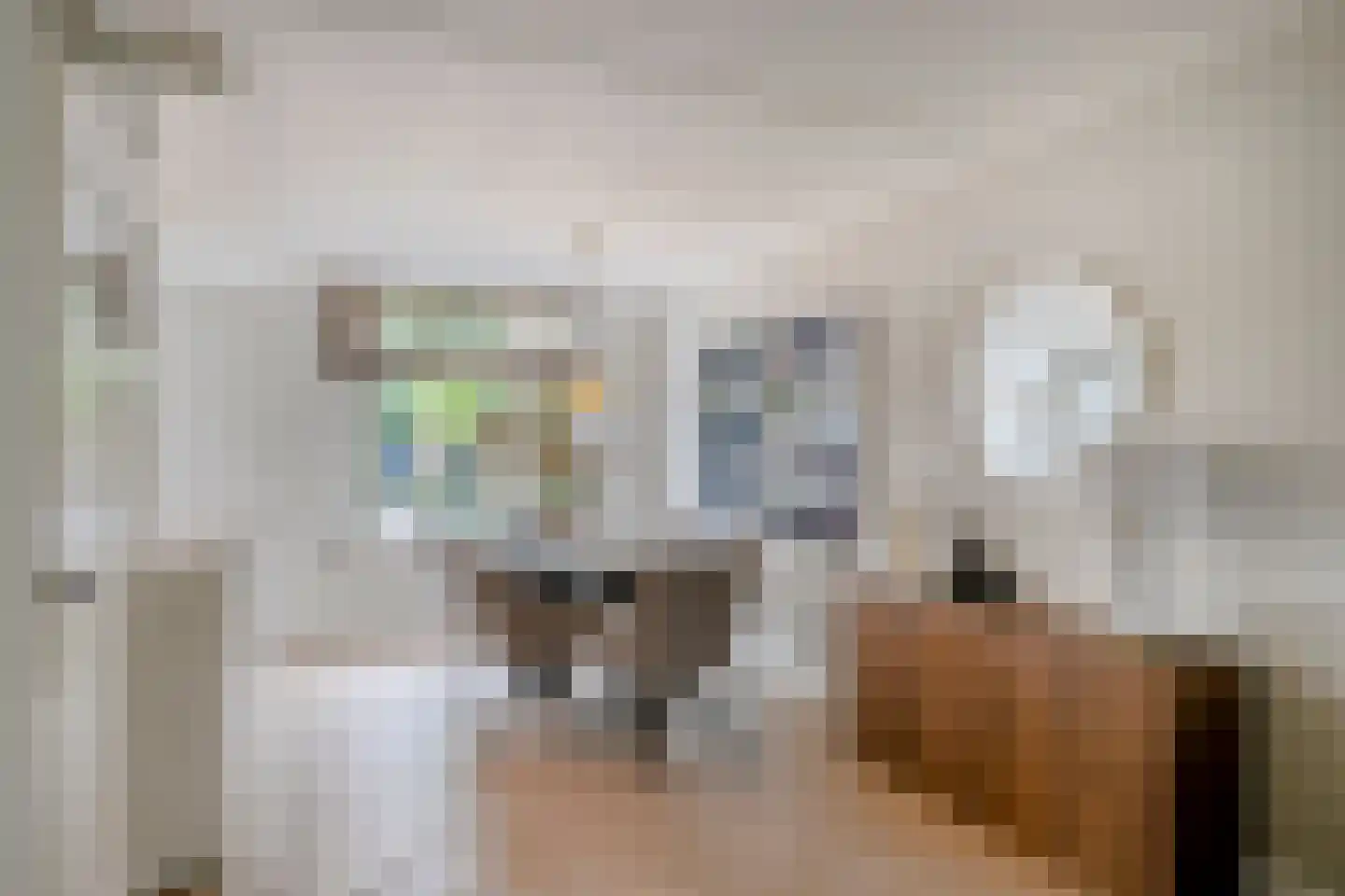 Geurdenhof 21 Oss thumbnail 13
