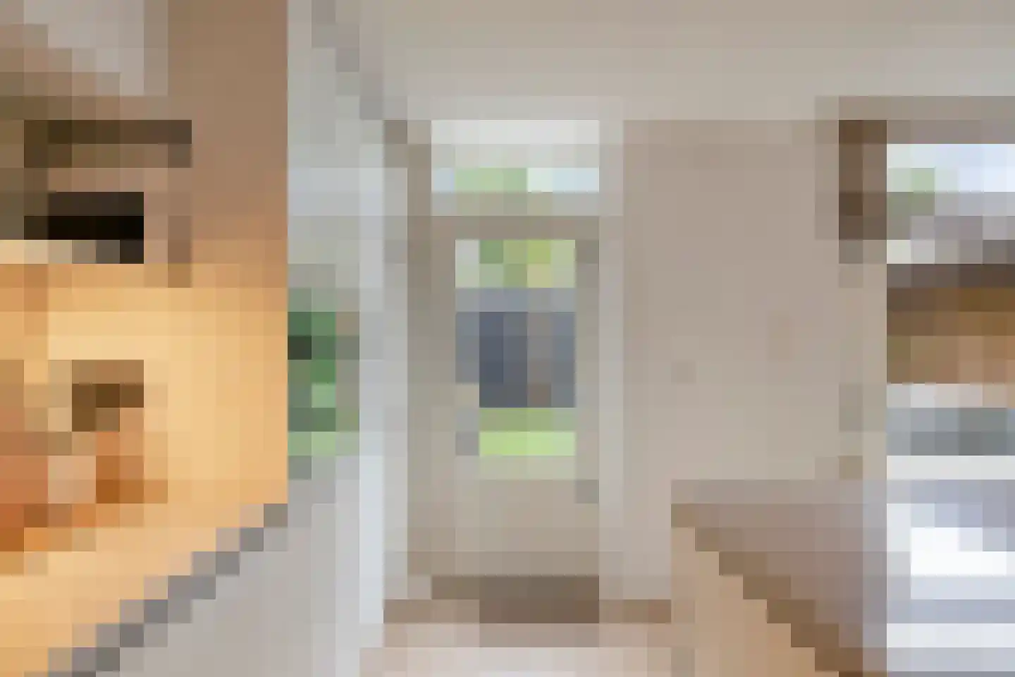 Geurdenhof 21 Oss thumbnail 17