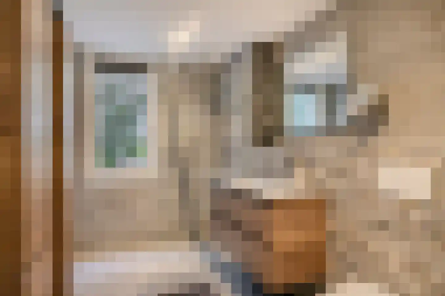 Geurdenhof 21 Oss thumbnail 27
