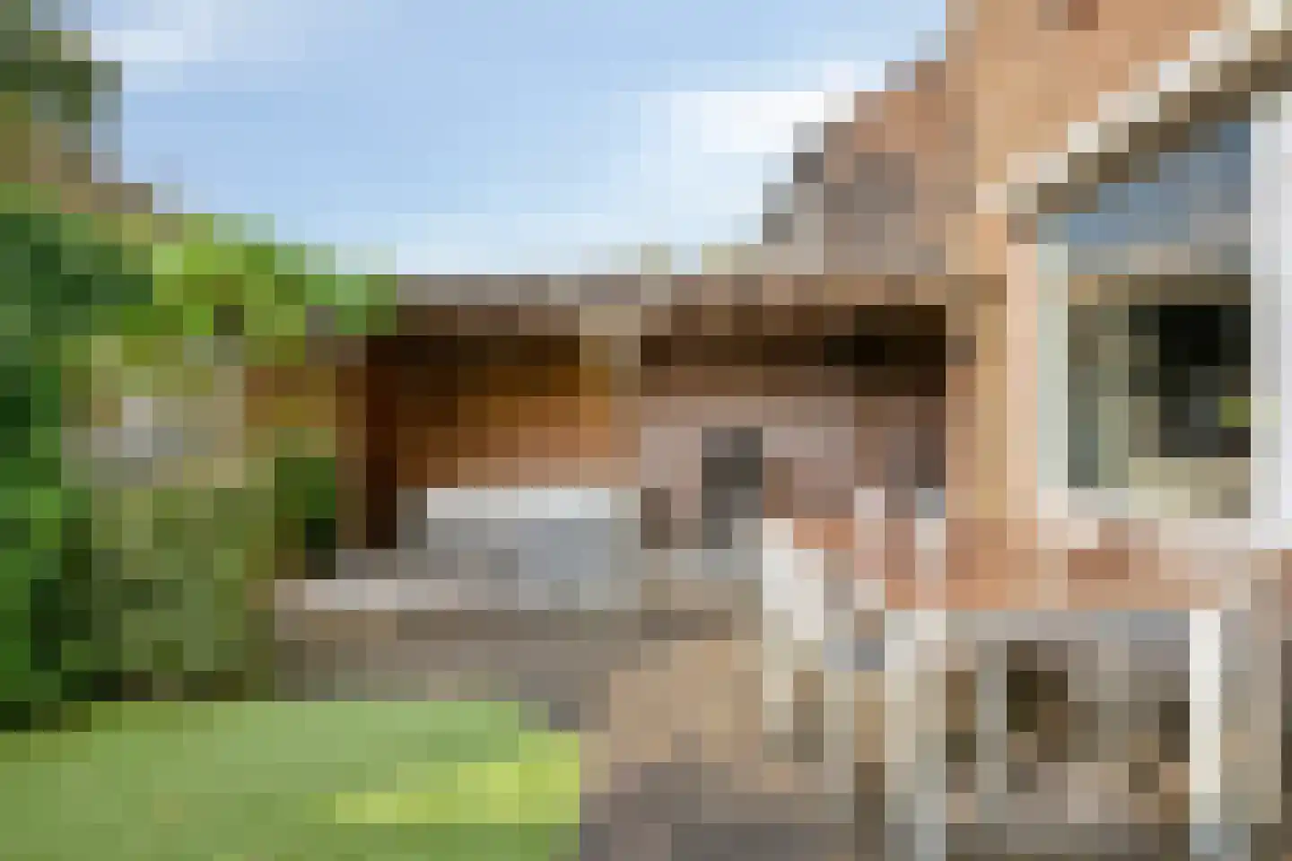 Geurdenhof 21 Oss thumbnail 34