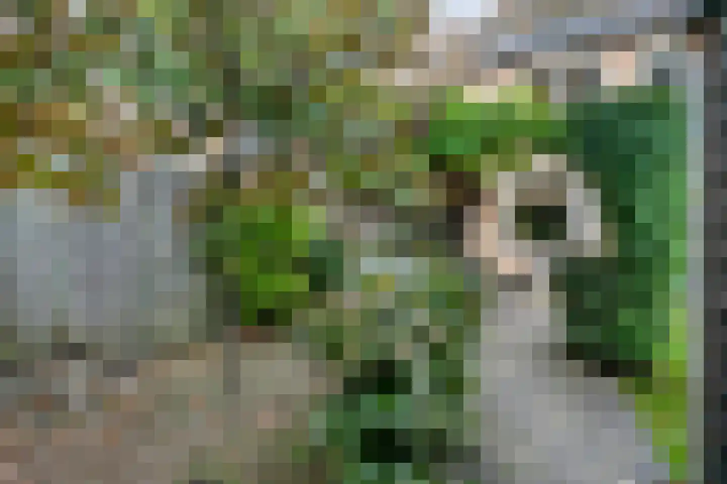 Geurdenhof 21 Oss thumbnail 38