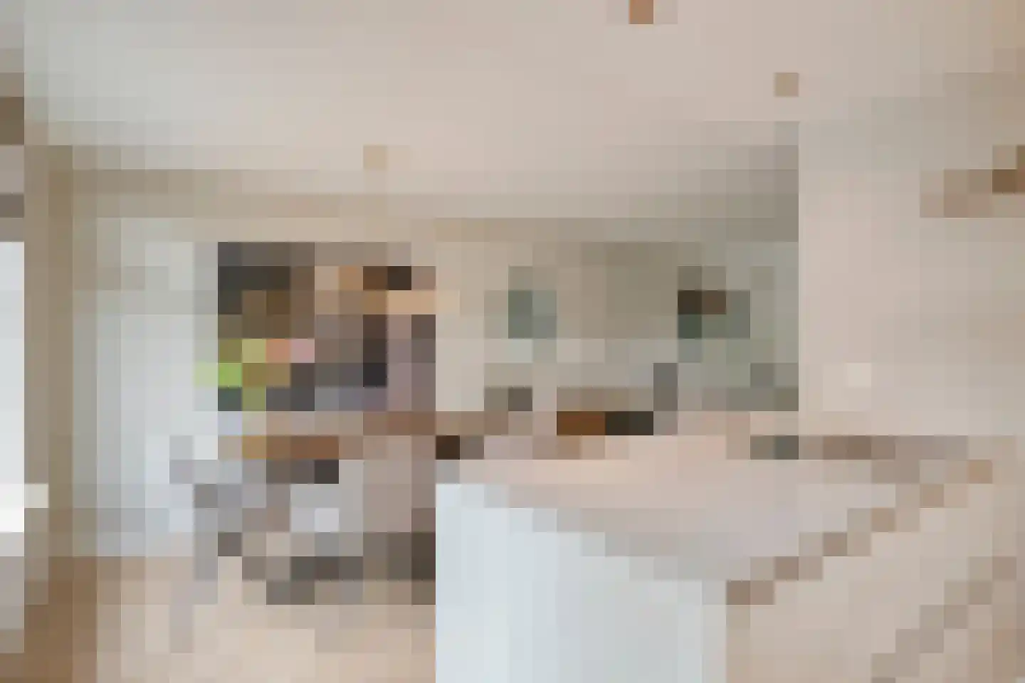 Geurdenhof 21 Oss thumbnail 4