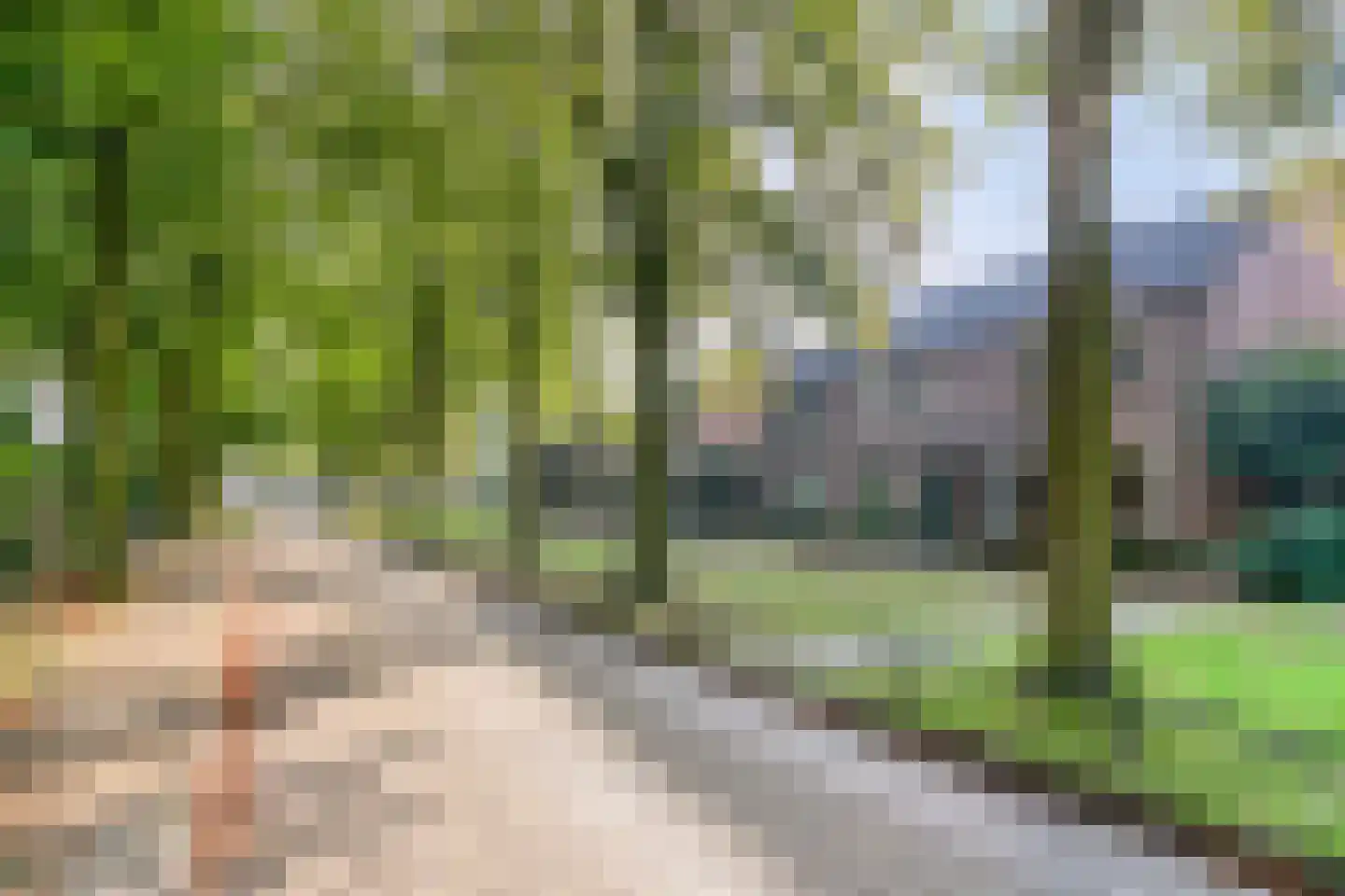 Geurdenhof 21 Oss thumbnail 5