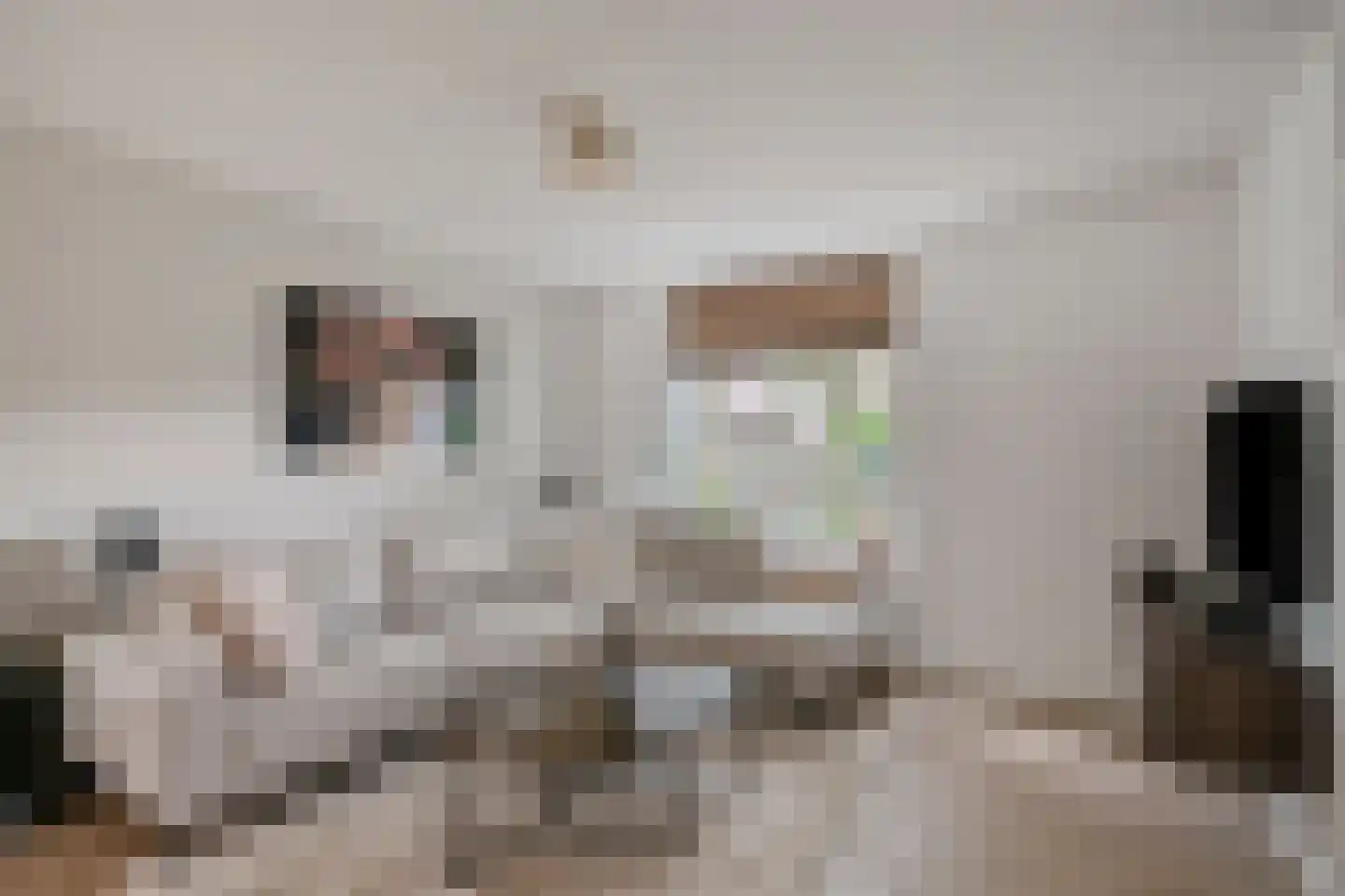 Geurdenhof 21 Oss thumbnail 9