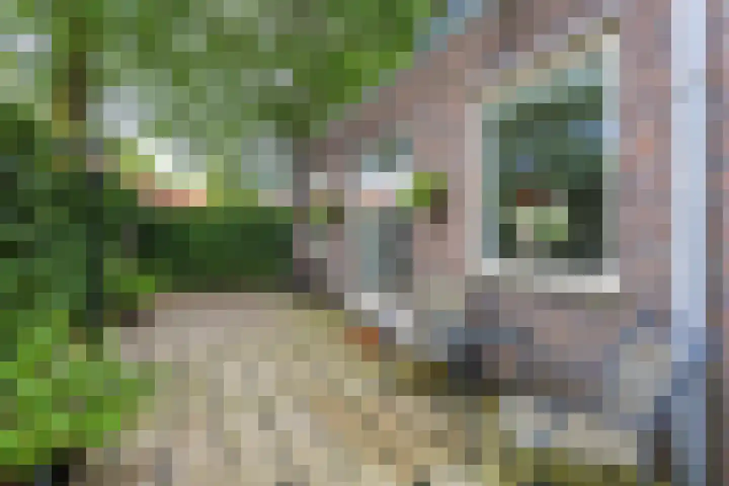 Geurdenhof 65 Oss thumbnail 29