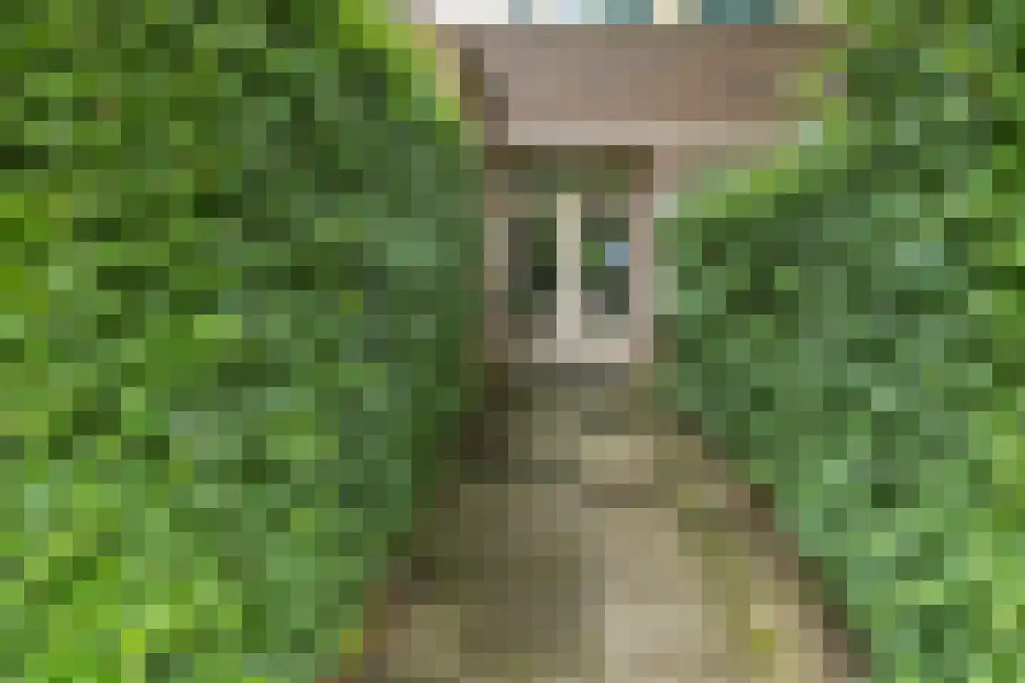 Geurdenhof 65 Oss thumbnail 32
