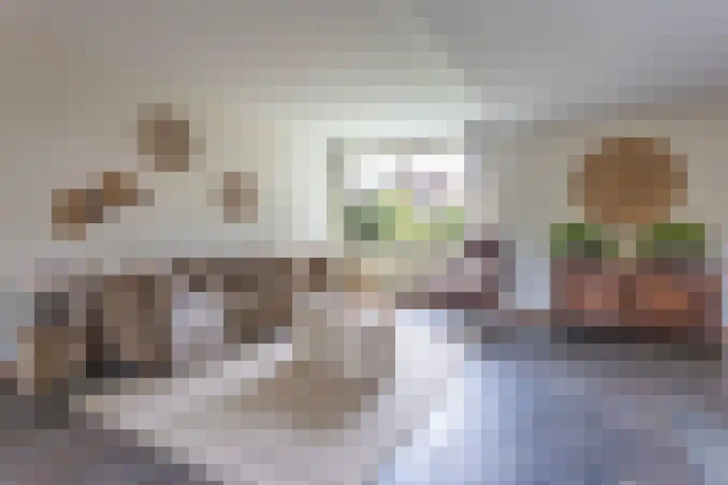 Geurdenhof 65 Oss thumbnail 9