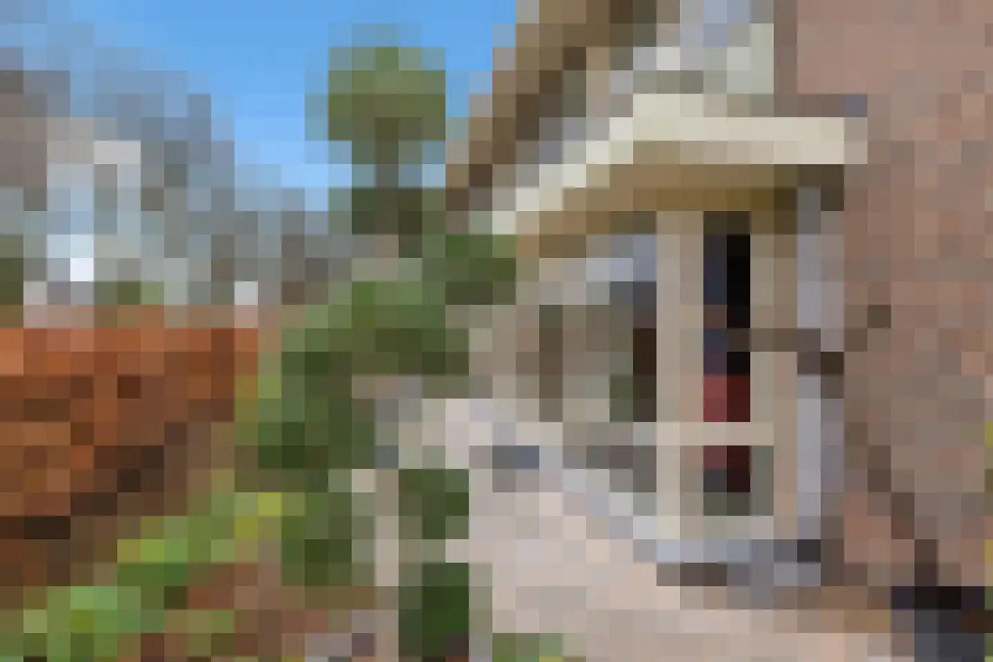 Geurdenhof 75 Oss thumbnail 43