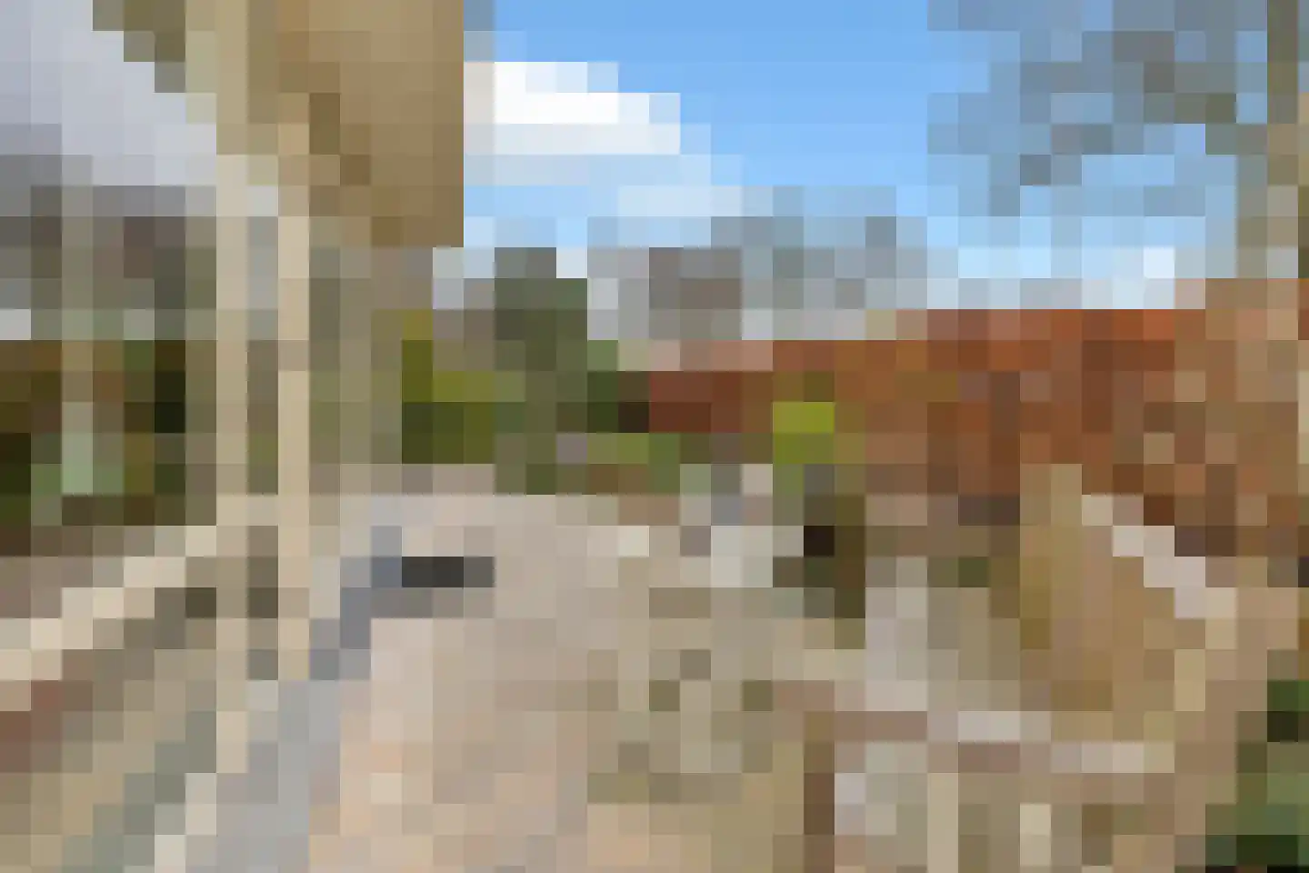 Geurdenhof 75 Oss thumbnail 44