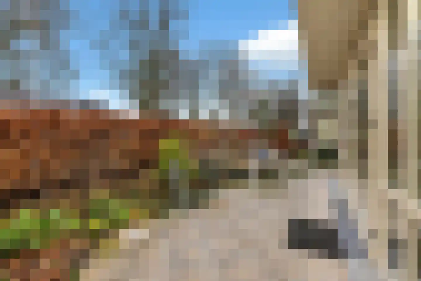 Geurdenhof 75 Oss thumbnail 45