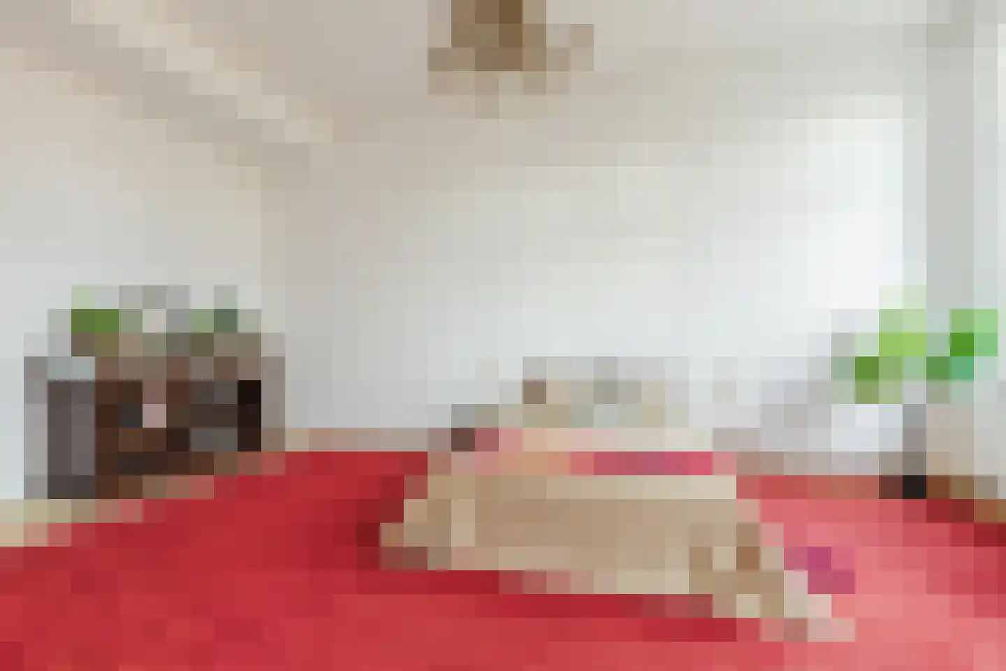 Geurdenhof 81 Oss thumbnail 32