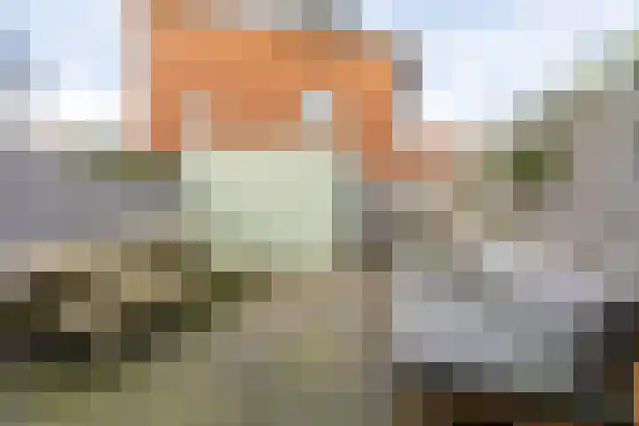Geusevesperstraat 17 Haarlem thumbnail 20