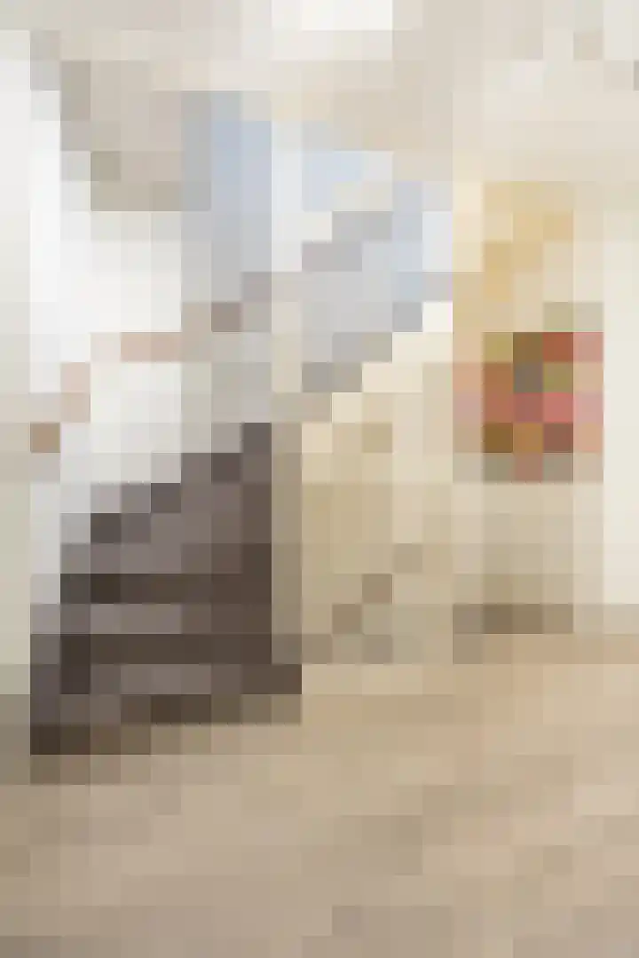 Geusevesperstraat 17 Haarlem thumbnail 22