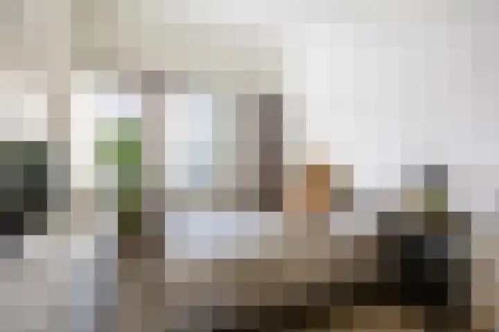 Geusevesperstraat 17 Haarlem thumbnail 32