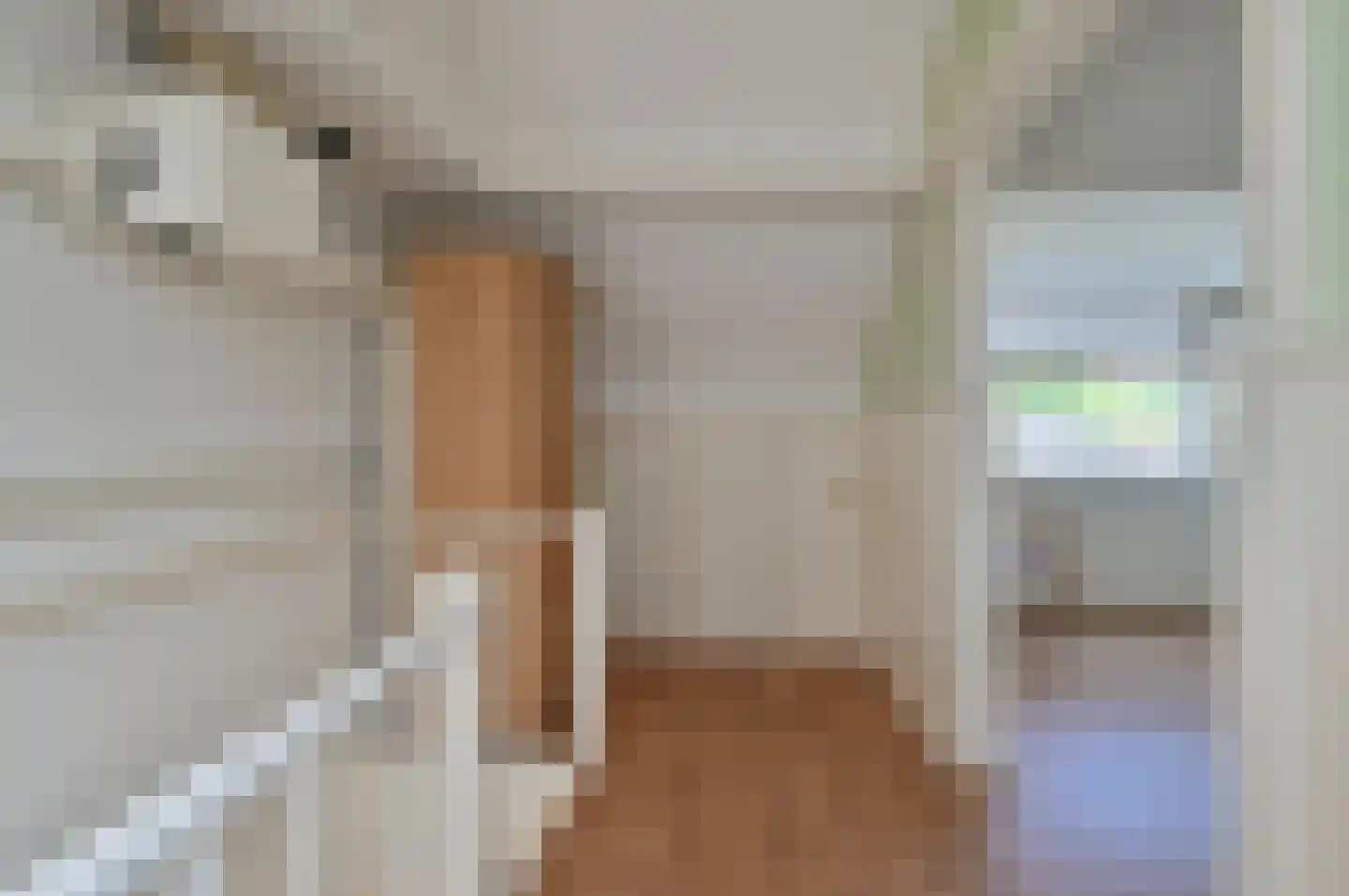 Geutoomserf 3 Eemnes thumbnail 18