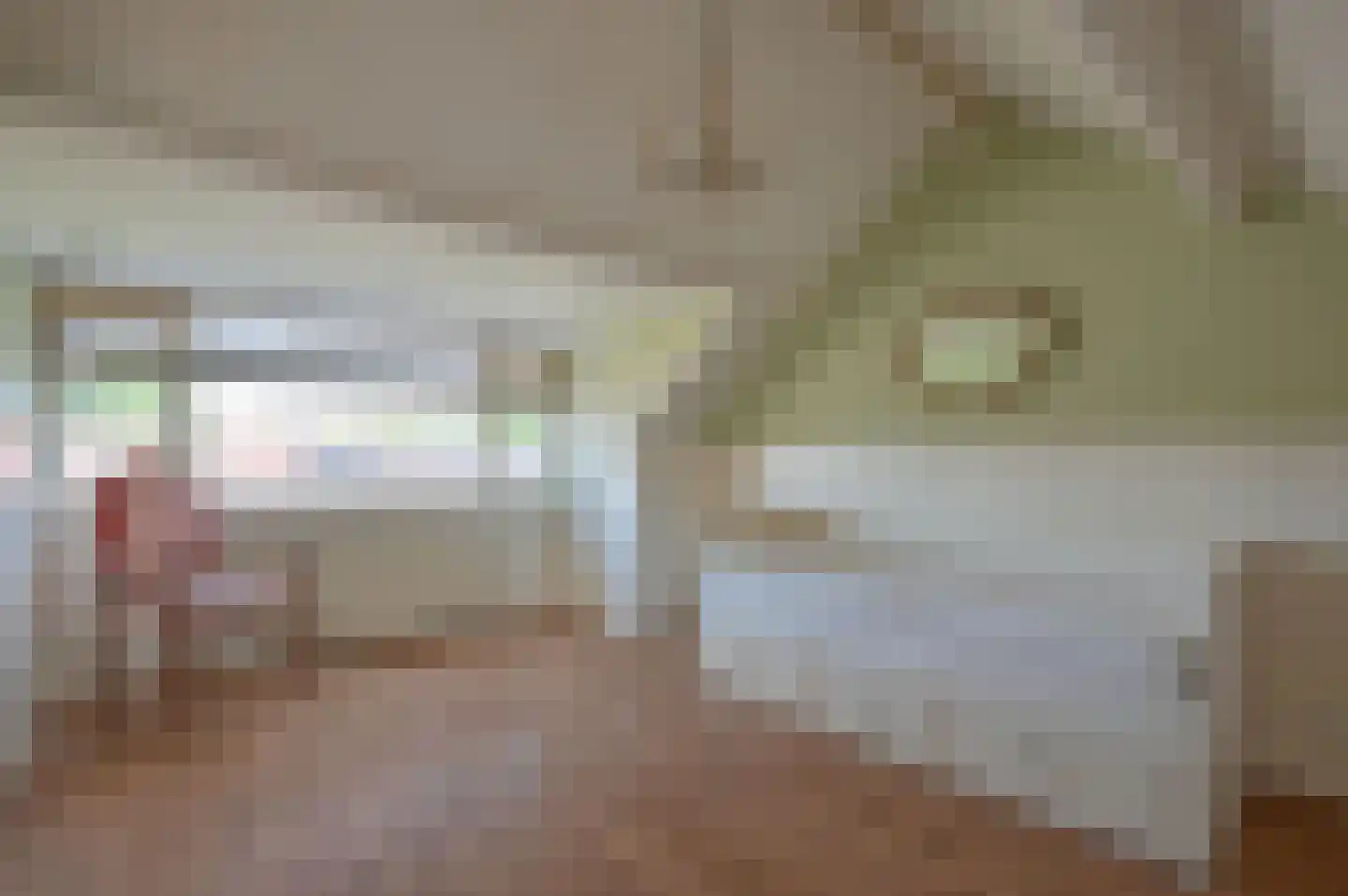 Geutoomserf 3 Eemnes thumbnail 19
