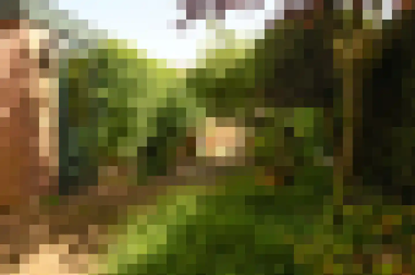 Geutoomserf 3 Eemnes thumbnail 24