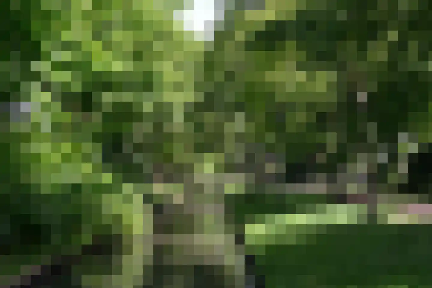 Geutoomserf 3 Eemnes thumbnail 28