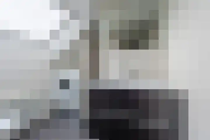Geutoomserf 32 Eemnes thumbnail 15