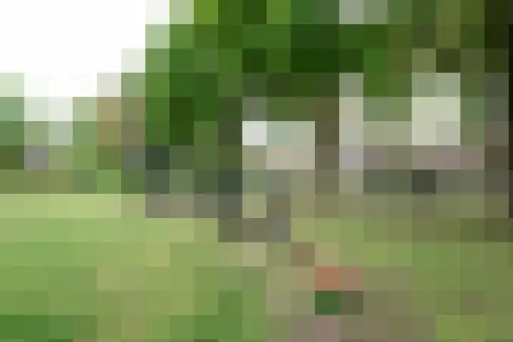 Geutoomserf 32 Eemnes thumbnail 27
