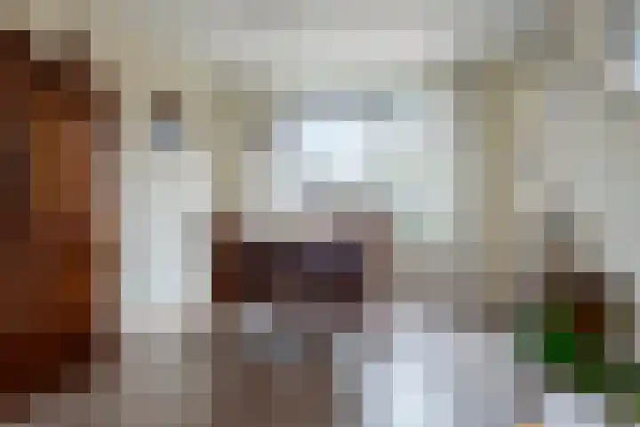 Geutoomserf 32 Eemnes thumbnail 7