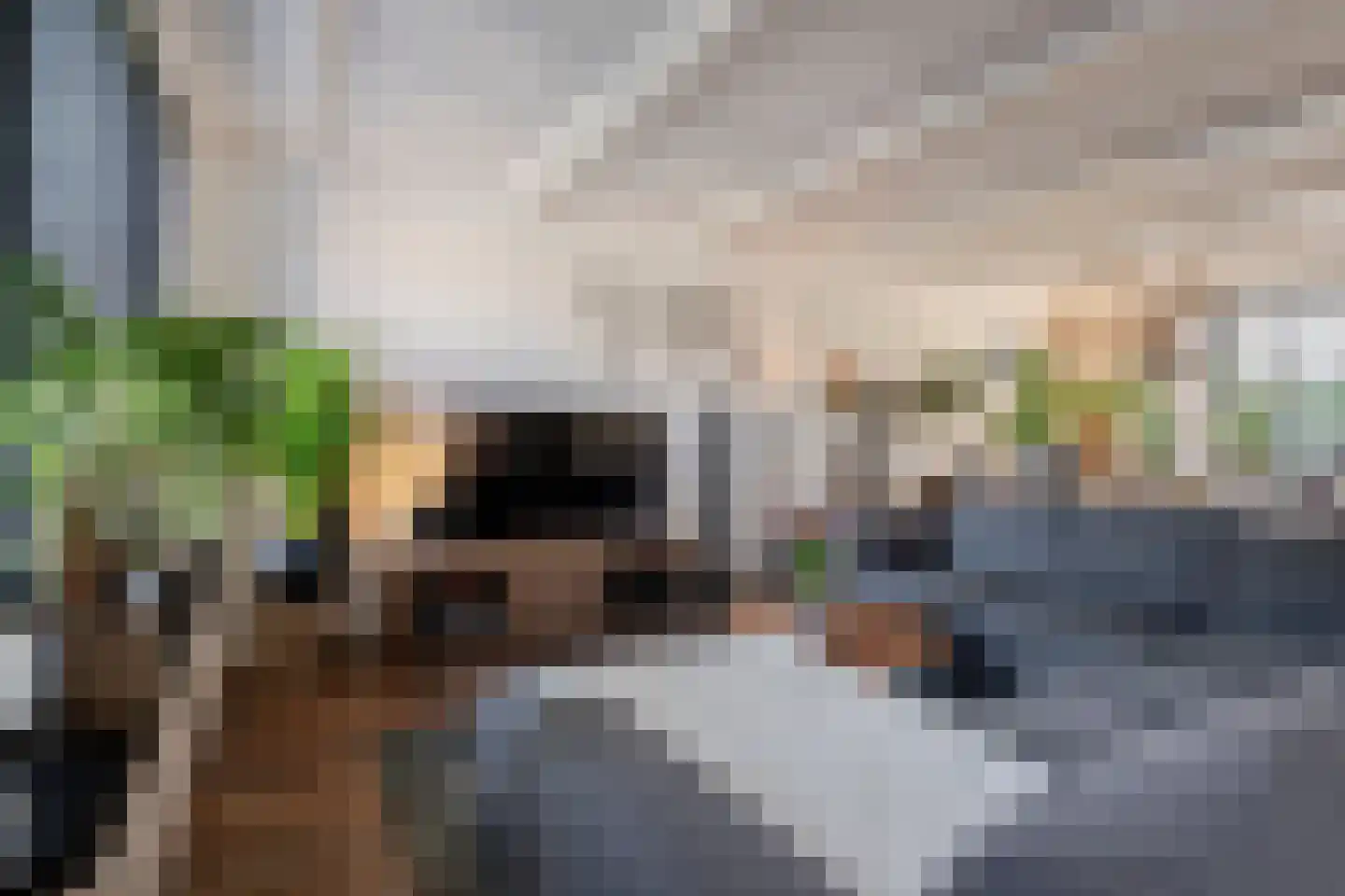 Geutoomserf 7 Eemnes thumbnail 11
