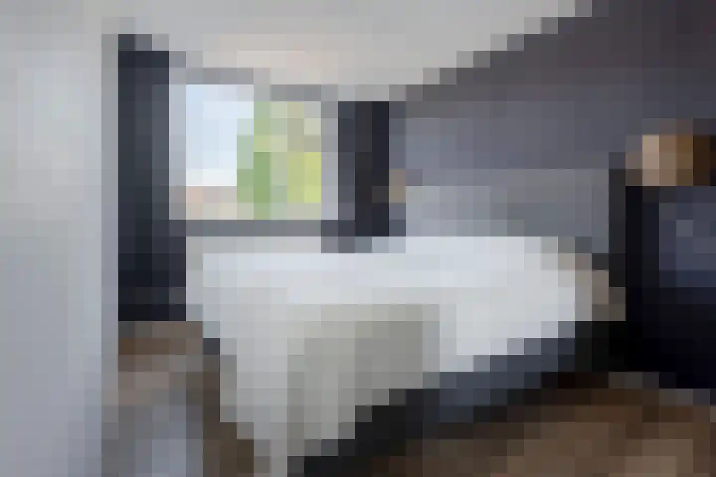 Geutoomserf 7 Eemnes thumbnail 28