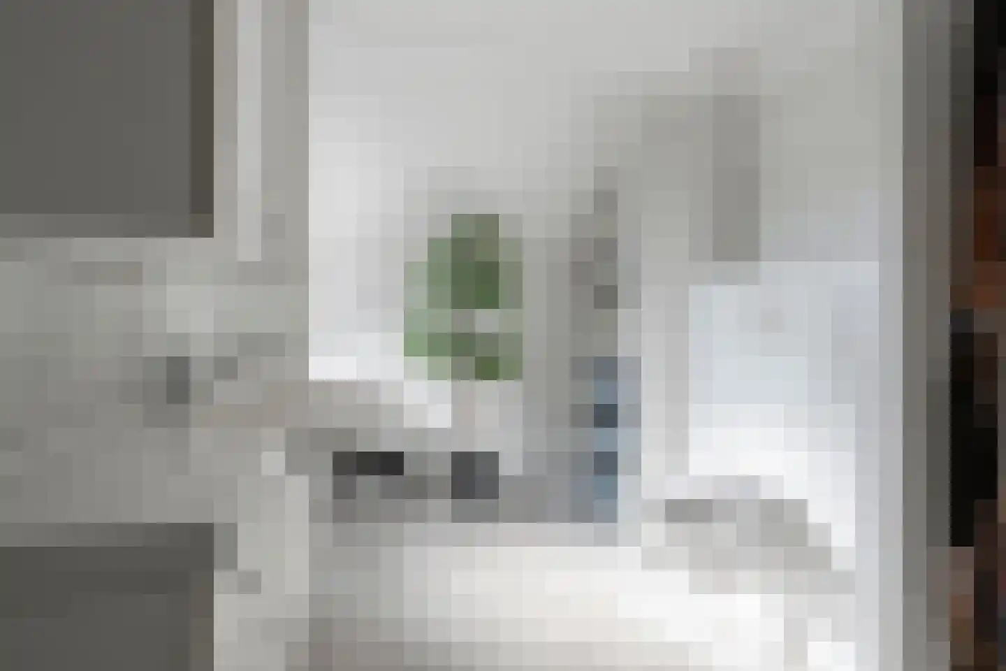 Geutoomserf 7 Eemnes thumbnail 30