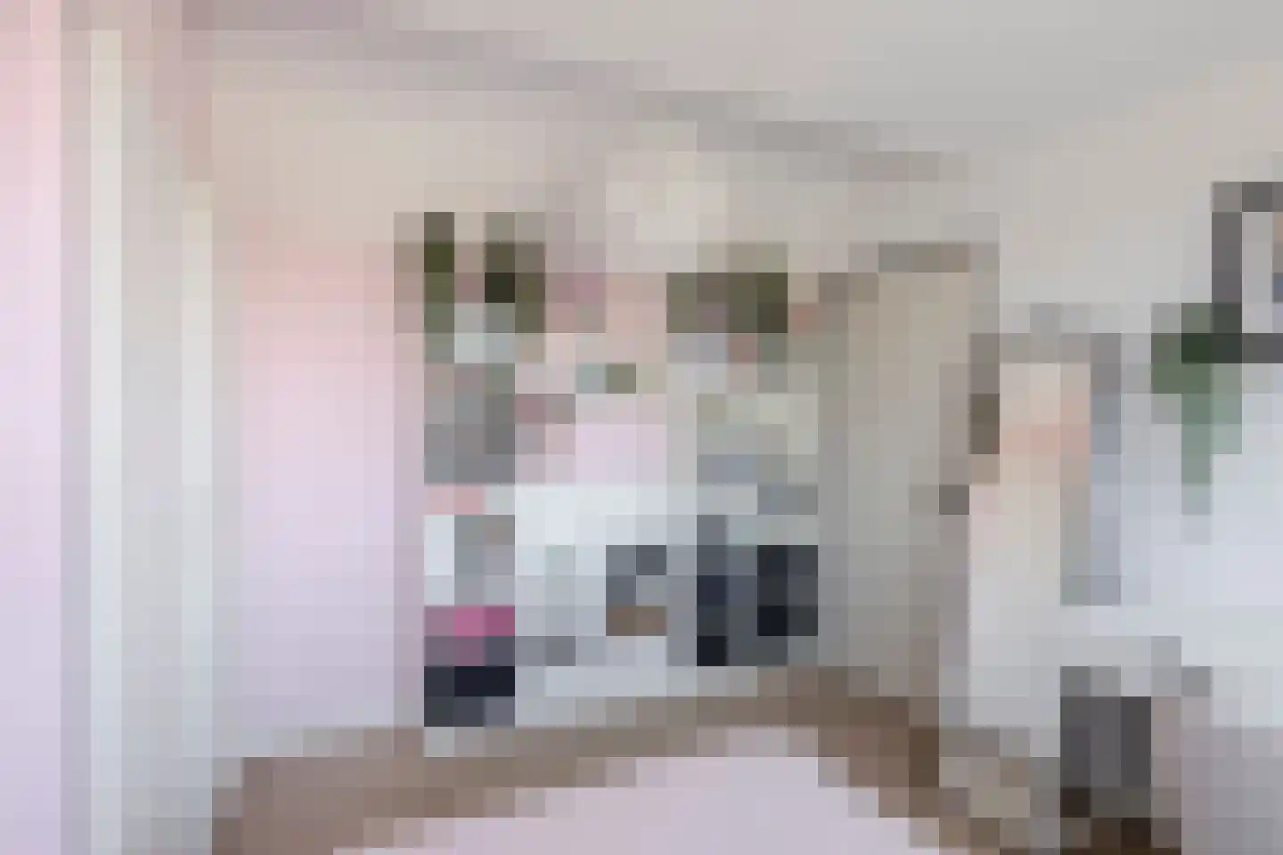 Geutoomserf 7 Eemnes thumbnail 39