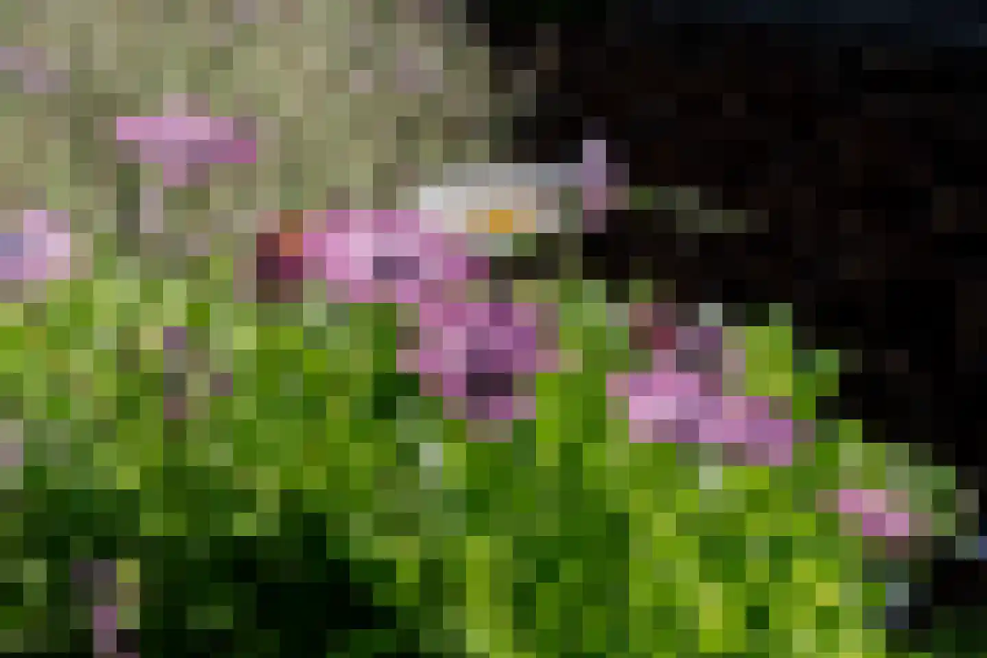 Geutoomserf 7 Eemnes thumbnail 43