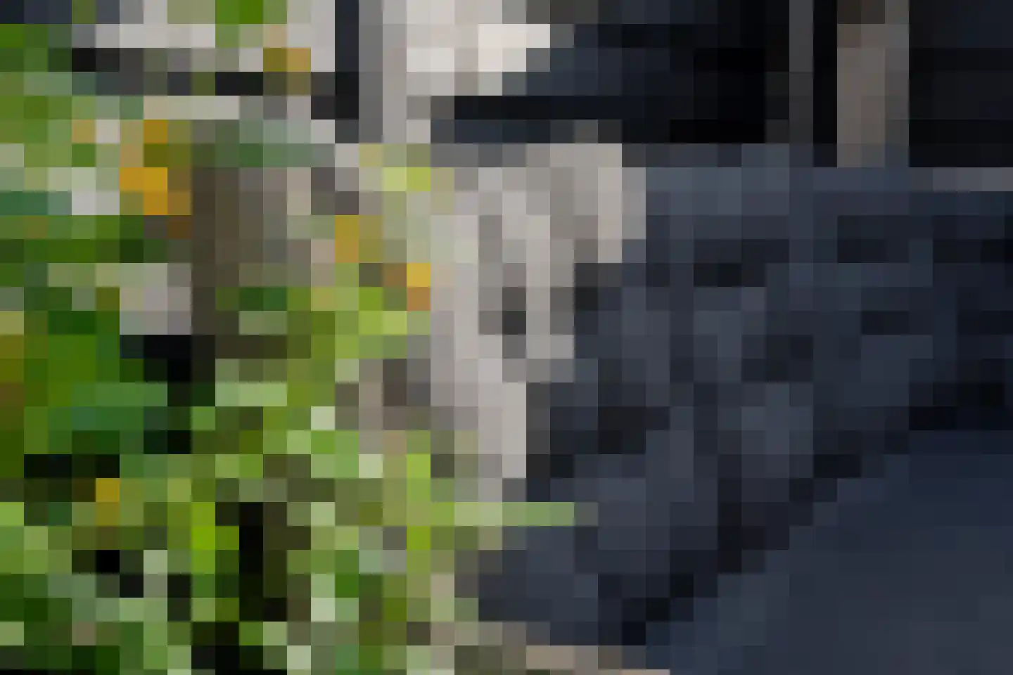 Geutoomserf 7 Eemnes thumbnail 46