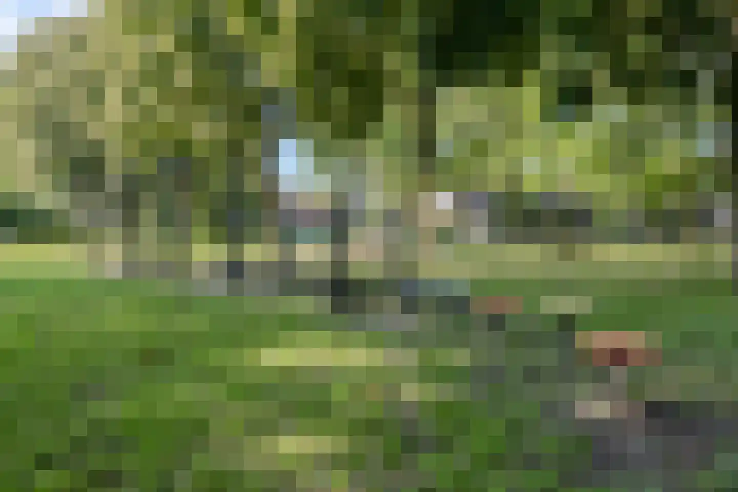 Geutoomserf 7 Eemnes thumbnail 49