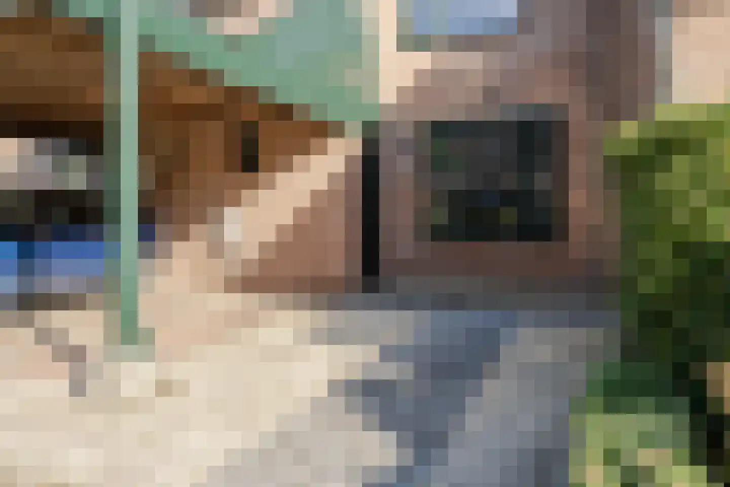 Geutoomserf 7 Eemnes thumbnail 5
