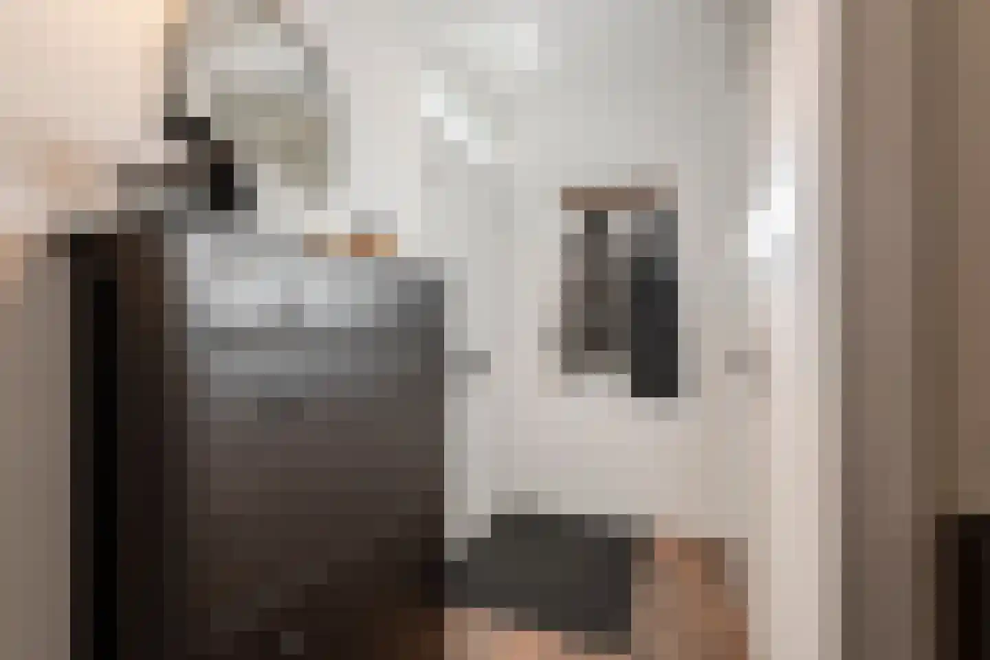 Geutoomserf 7 Eemnes thumbnail 7