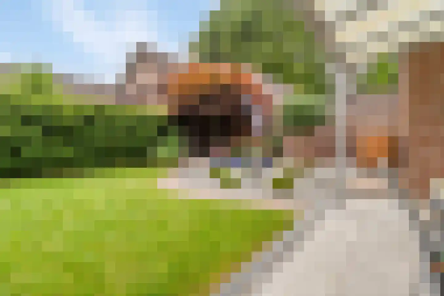 Geuweg 54 Sittard thumbnail 15