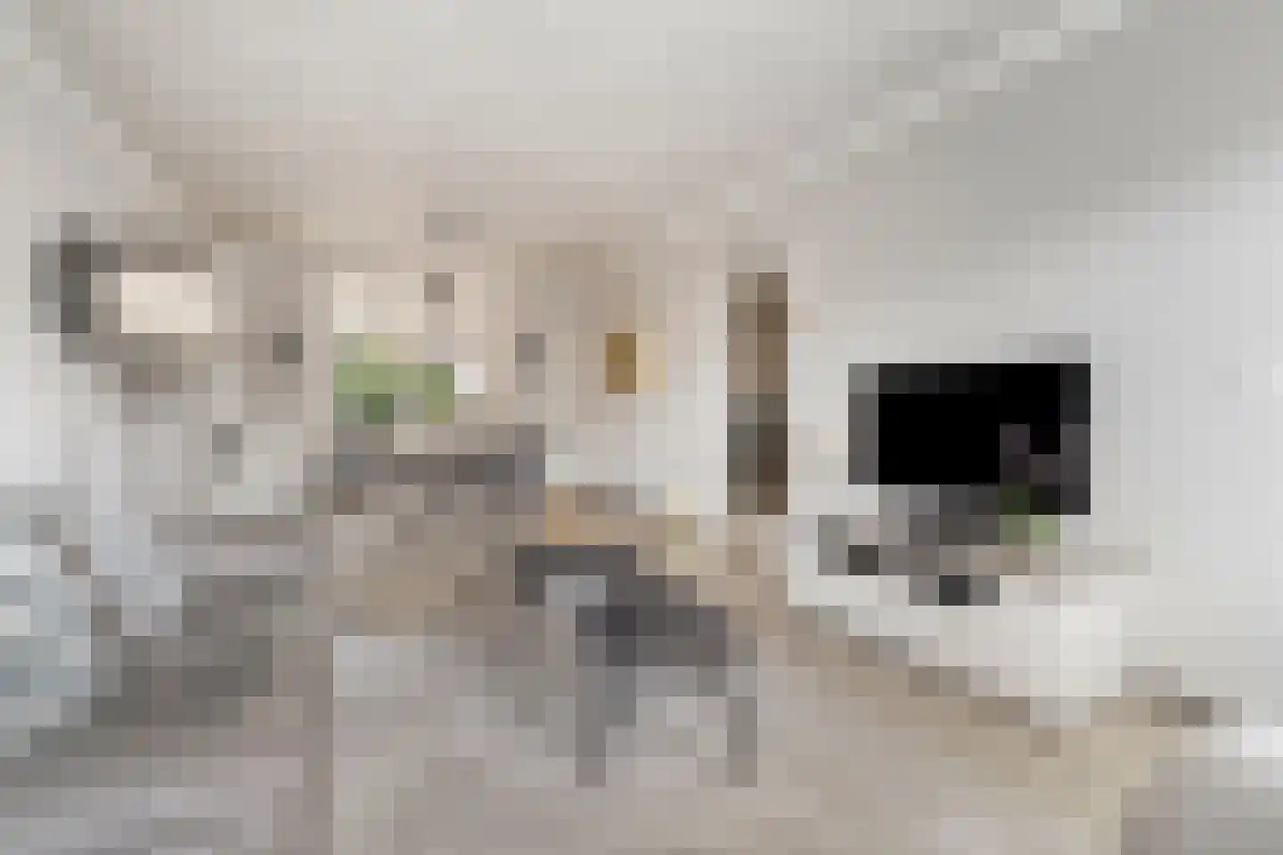 Geuweg 54 Sittard thumbnail 5