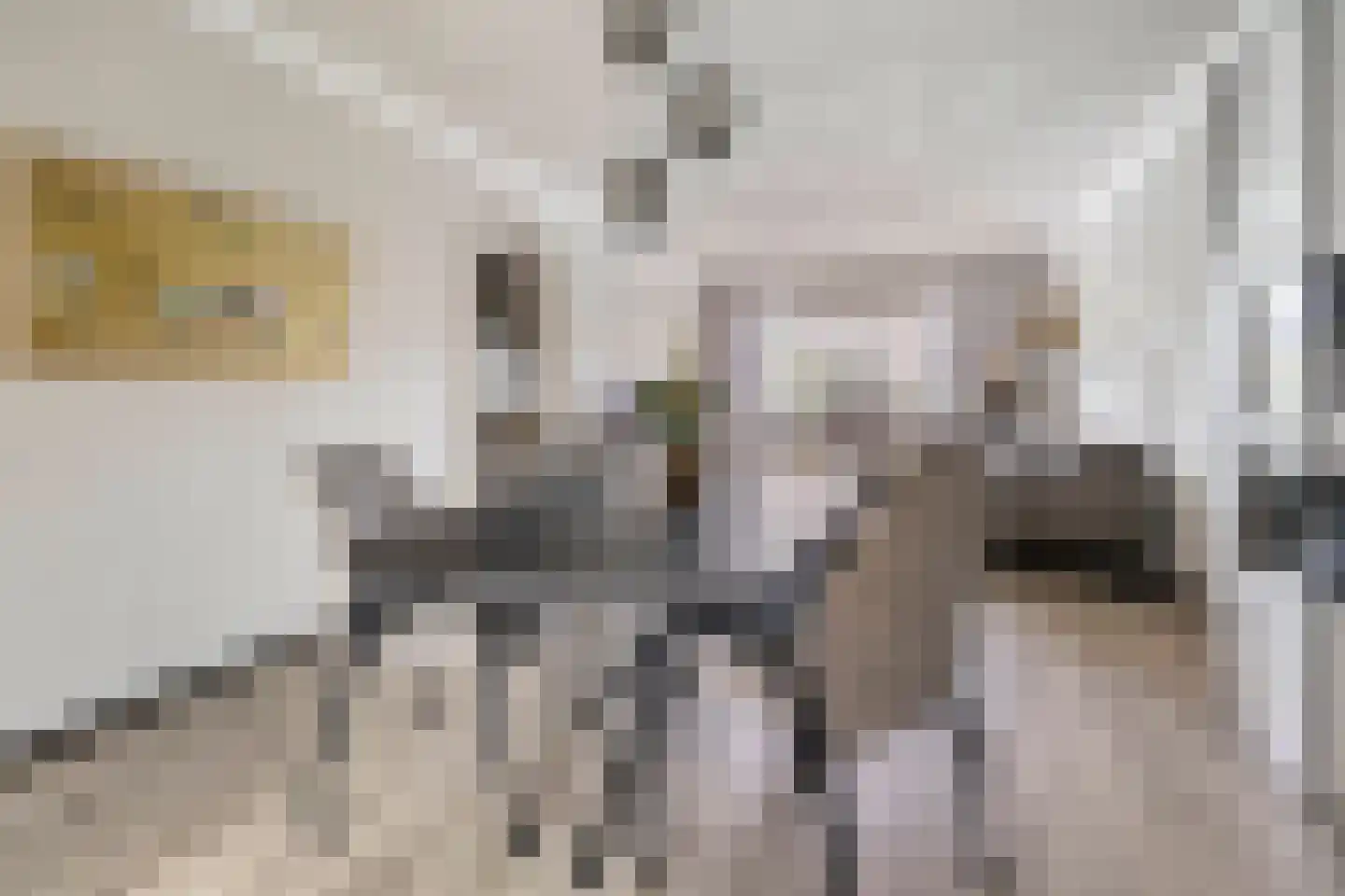 Geuweg 54 Sittard thumbnail 6