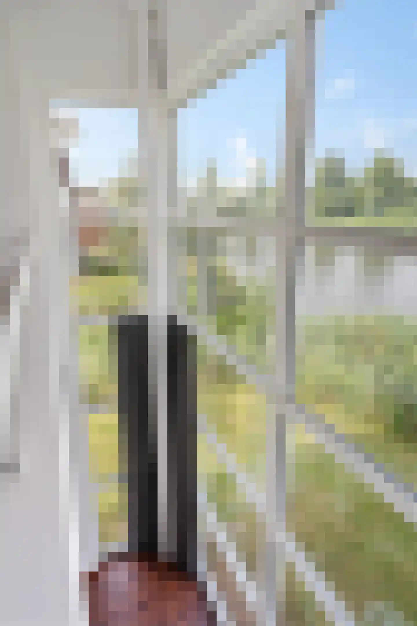 Geuzehoeke 43 643 Eanjum thumbnail 10